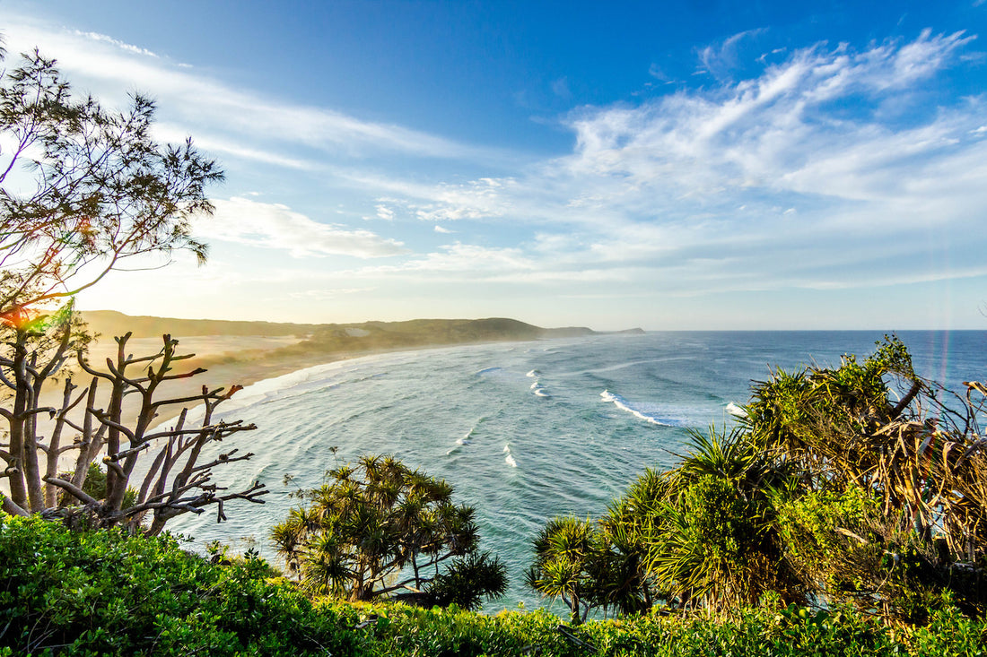 Here are 6 activities to celebrate the arrival of spring!