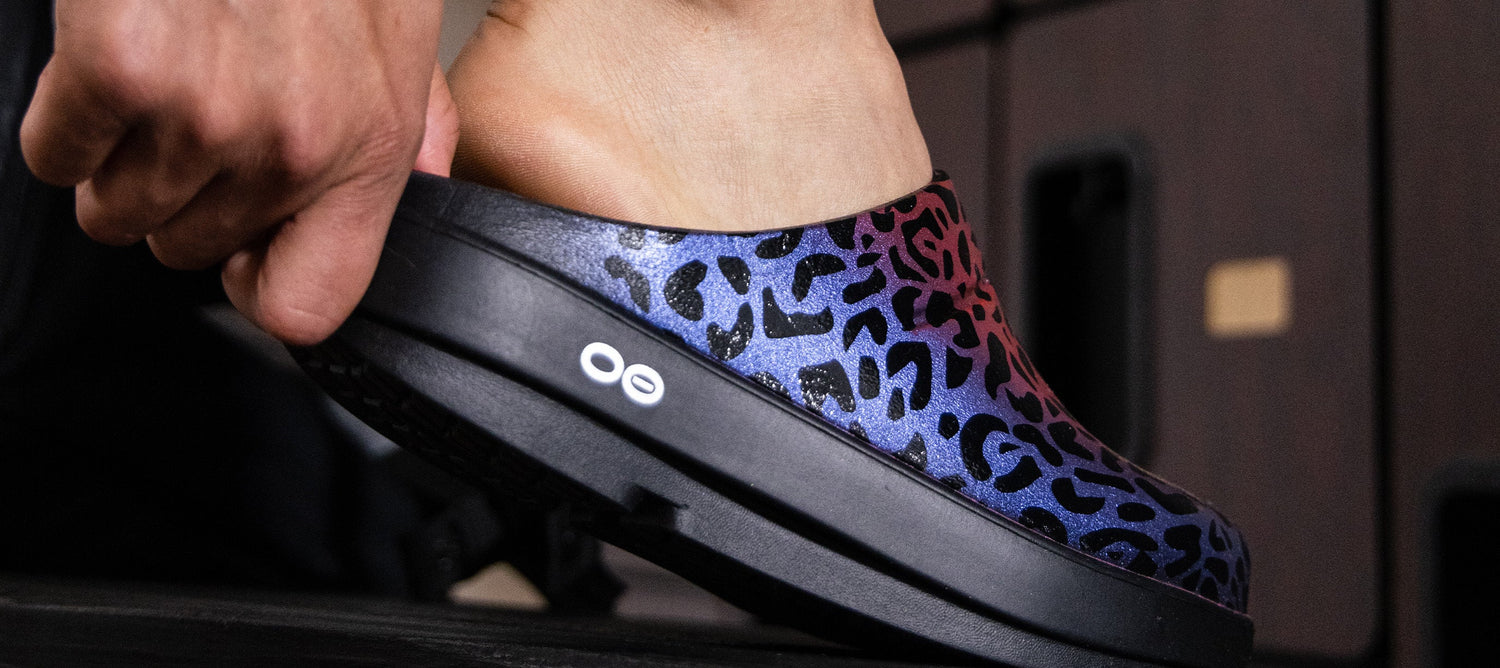 Rainbow Leopard OOcloog