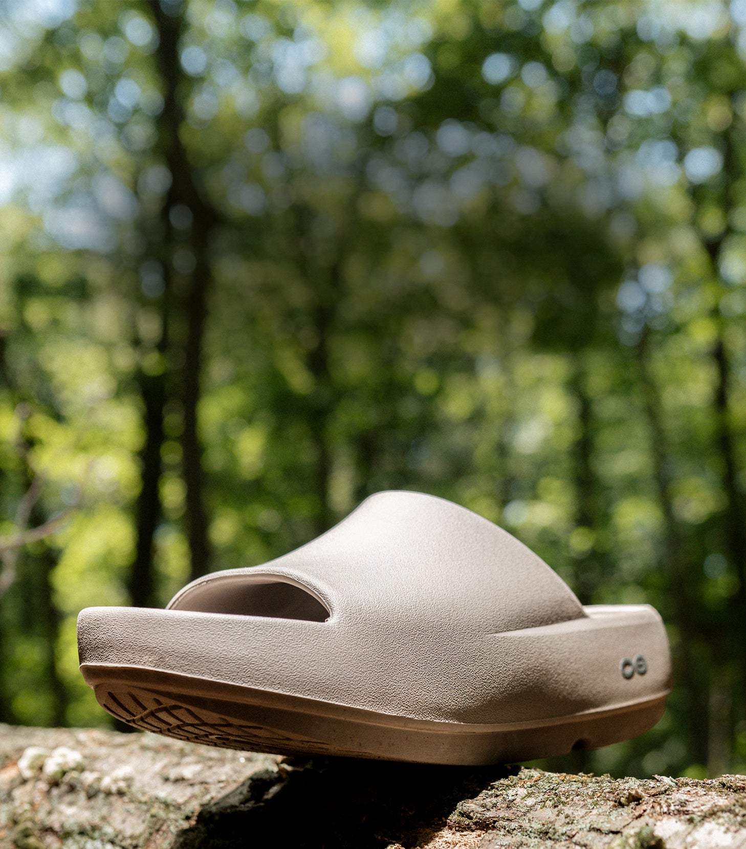 A single light beige slide sandal with a thick cushioned sole, resting on a tree trunk with a blurred forest background.