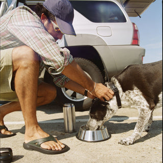 model outside at beach with dog drinking from waterbowl