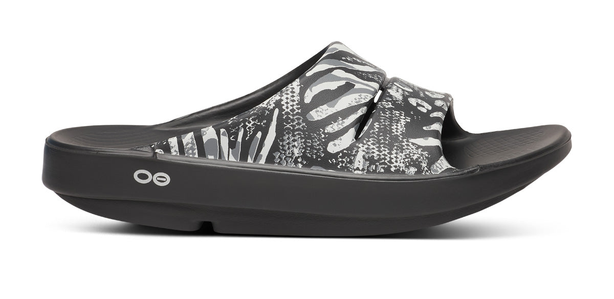 1103COMCAM_shot1.jpg?v=1748958965